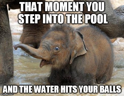 THAT MOMENT YOU STEP INTO THE POOL AND THE WATER HITS YOUR BALLS | image tagged in elephant shock | made w/ Imgflip meme maker