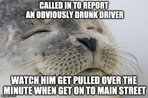 Satisfied Seal | CALLED IN TO REPORT AN OBVIOUSLY DRUNK DRIVER WATCH HIM GET PULLED OVER THE MINUTE WHEN GET ON TO MAIN STREET | image tagged in memes,satisfied seal | made w/ Imgflip meme maker