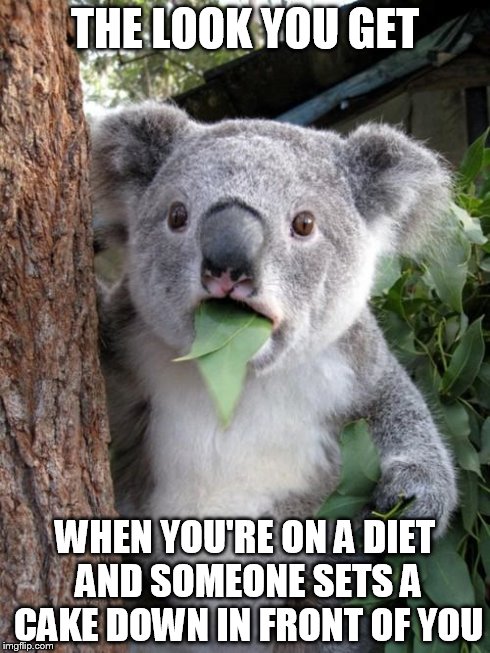 Surprised Koala | THE LOOK YOU GET WHEN YOU'RE ON A DIET AND SOMEONE SETS A CAKE DOWN IN FRONT OF YOU | image tagged in memes,surprised koala | made w/ Imgflip meme maker