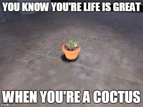 YOU KNOW YOU'RE LIFE IS GREAT WHEN YOU'RE A COCTUS | made w/ Imgflip meme maker