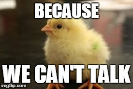 chick | BECAUSE WE CAN'T TALK | image tagged in chick | made w/ Imgflip meme maker