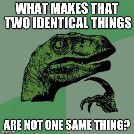 Philosoraptor | WHAT MAKES THAT TWO IDENTICAL THINGS ARE NOT ONE SAME THING? | image tagged in memes,philosoraptor | made w/ Imgflip meme maker