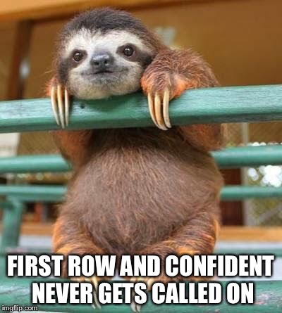cute-sloth | FIRST ROW AND CONFIDENT NEVER GETS CALLED ON | image tagged in cute-sloth | made w/ Imgflip meme maker