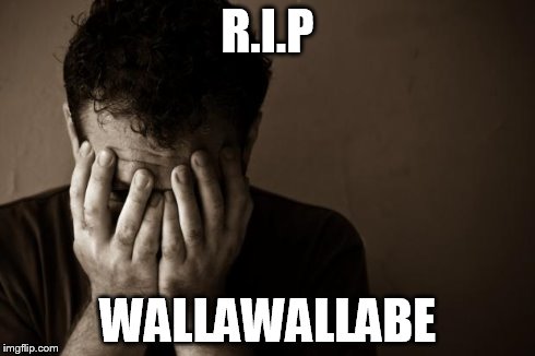 I don't care what you say about her. She was a great friend to me. | R.I.P WALLAWALLABE | image tagged in sad man,rip,memes,in real life,users | made w/ Imgflip meme maker