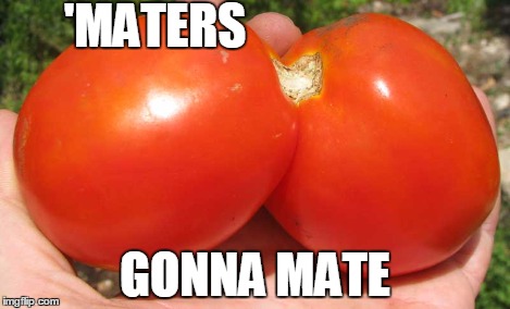 'MATERS GONNA MATE | made w/ Imgflip meme maker
