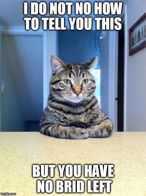 Take A Seat Cat | I DO NOT NO HOW TO TELL YOU THIS BUT YOU HAVE NO BRID LEFT | image tagged in memes,take a seat cat | made w/ Imgflip meme maker
