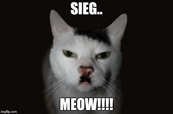 el gato hitler | SIEG.. MEOW!!!! | image tagged in el gato hitler | made w/ Imgflip meme maker