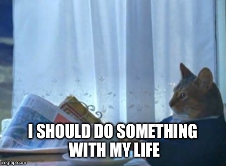 I Should Buy A Boat Cat | I SHOULD DO SOMETHING WITH MY LIFE | image tagged in memes,i should buy a boat cat,AdviceAnimals | made w/ Imgflip meme maker