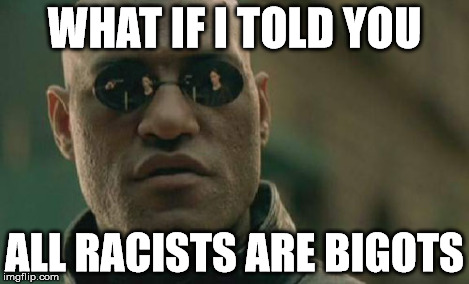 Matrix Morpheus Meme | WHAT IF I TOLD YOU ALL RACISTS ARE BIGOTS | image tagged in memes,matrix morpheus | made w/ Imgflip meme maker