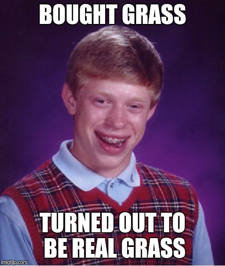 Bad Luck Brian | BOUGHT GRASS TURNED OUT TO BE REAL GRASS | image tagged in memes,bad luck brian | made w/ Imgflip meme maker