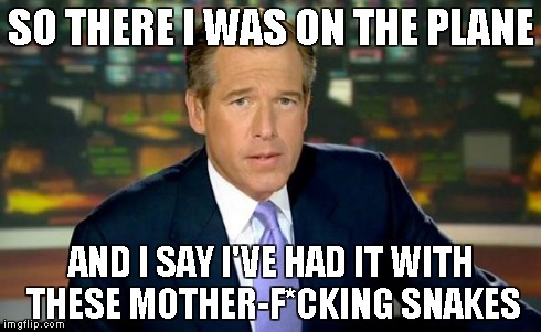 Brian Williams Was There | SO THERE I WAS ON THE PLANE AND I SAY I'VE HAD IT WITH THESE MOTHER-F*CKING SNAKES | image tagged in memes,brian williams was there | made w/ Imgflip meme maker