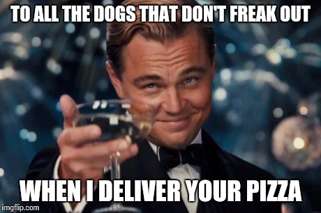 Leonardo Dicaprio Cheers | TO ALL THE DOGS THAT DON'T FREAK OUT WHEN I DELIVER YOUR PIZZA | image tagged in memes,leonardo dicaprio cheers | made w/ Imgflip meme maker