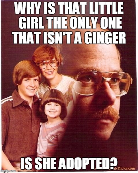 Vengeance Dad | WHY IS THAT LITTLE GIRL THE ONLY ONE THAT ISN'T A GINGER IS SHE ADOPTED? | image tagged in memes,vengeance dad | made w/ Imgflip meme maker