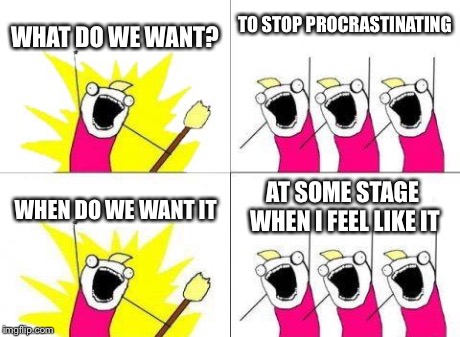 What Do We Want | WHAT DO WE WANT? TO STOP PROCRASTINATING WHEN DO WE WANT IT AT SOME STAGE WHEN I FEEL LIKE IT | image tagged in memes,what do we want | made w/ Imgflip meme maker