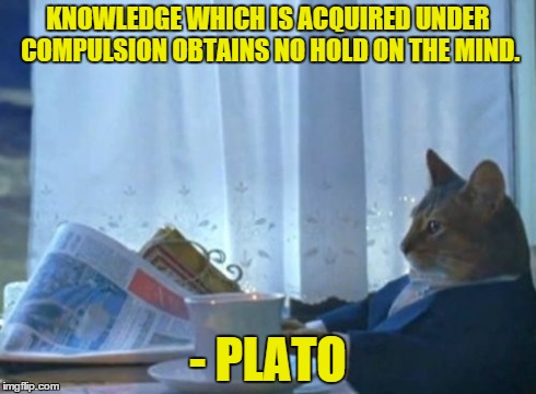 I Should Buy A Boat Cat | KNOWLEDGE WHICH IS ACQUIRED UNDER COMPULSION OBTAINS NO HOLD ON THE MIND. - PLATO | image tagged in memes,i should buy a boat cat | made w/ Imgflip meme maker