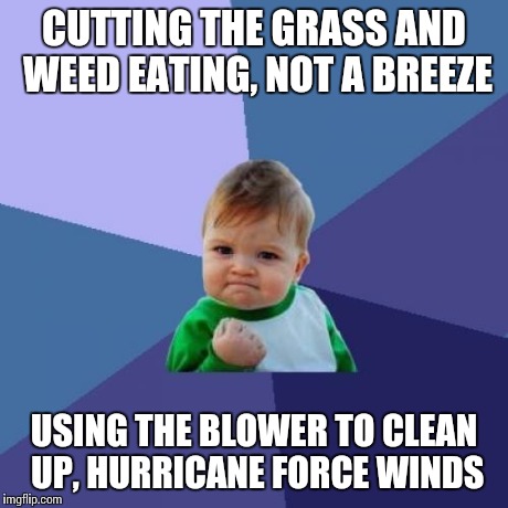 Success Kid Meme | CUTTING THE GRASS AND WEED EATING, NOT A BREEZE USING THE BLOWER TO CLEAN UP, HURRICANE FORCE WINDS | image tagged in memes,success kid | made w/ Imgflip meme maker