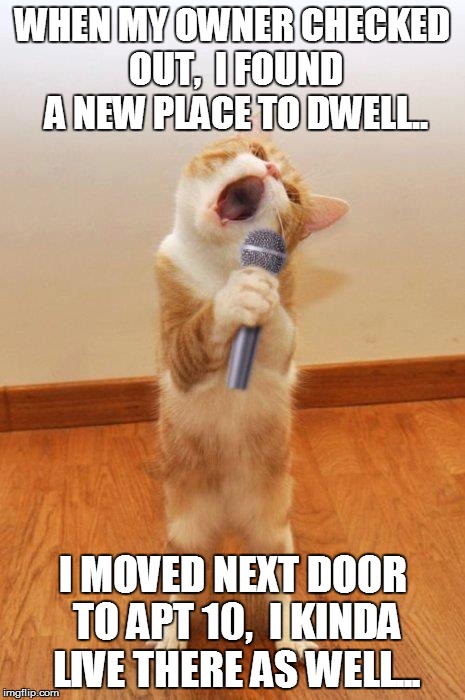 singingcat | WHEN MY OWNER CHECKED OUT,  I FOUND A NEW PLACE TO DWELL.. I MOVED NEXT DOOR TO APT 10,  I KINDA LIVE THERE AS WELL... | image tagged in singingcat | made w/ Imgflip meme maker