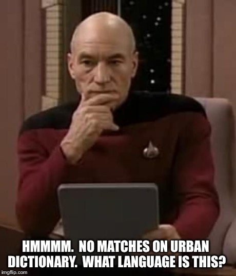 picard thinking | HMMMM.  NO MATCHES ON URBAN DICTIONARY.  WHAT LANGUAGE IS THIS? | image tagged in picard thinking | made w/ Imgflip meme maker