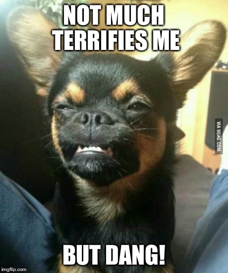 alien dog | NOT MUCH TERRIFIES ME BUT DANG! | image tagged in alien dog | made w/ Imgflip meme maker