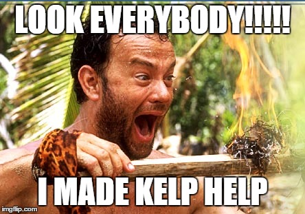 Castaway Fire Meme | LOOK EVERYBODY!!!!! I MADE KELP HELP | image tagged in memes,castaway fire | made w/ Imgflip meme maker