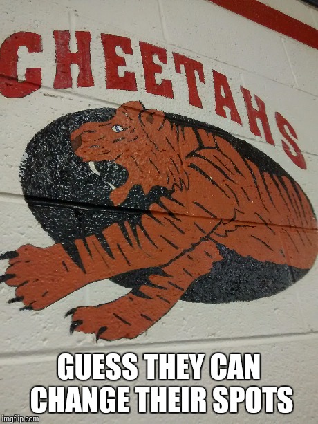 GUESS THEY CAN CHANGE THEIR SPOTS | image tagged in cheetah,change | made w/ Imgflip meme maker