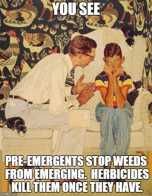 The Problem Is Meme | YOU SEE PRE-EMERGENTS STOP WEEDS FROM EMERGING.  HERBICIDES KILL THEM ONCE THEY HAVE. | image tagged in memes,the probelm is | made w/ Imgflip meme maker