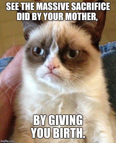 Grumpy Cat Meme | SEE THE MASSIVE SACRIFICE DID BY YOUR MOTHER, BY GIVING YOU BIRTH. | image tagged in memes,grumpy cat | made w/ Imgflip meme maker