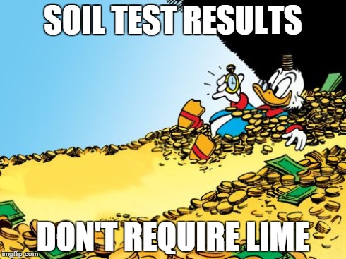 Scrooge McDuck Meme | SOIL TEST RESULTS DON'T REQUIRE LIME | image tagged in memes,scrooge mcduck | made w/ Imgflip meme maker