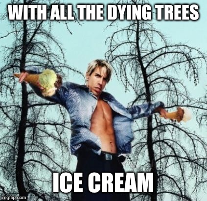 Anthony Creamis | WITH ALL THE DYING TREES ICE CREAM | image tagged in ice cream,trees,songs,song,funny | made w/ Imgflip meme maker