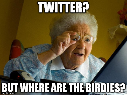 Grandma Finds The Internet | TWITTER? BUT WHERE ARE THE BIRDIES? | image tagged in memes,grandma finds the internet | made w/ Imgflip meme maker