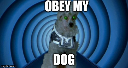 obey my dog | OBEY MY DOG | image tagged in obey my dog | made w/ Imgflip meme maker