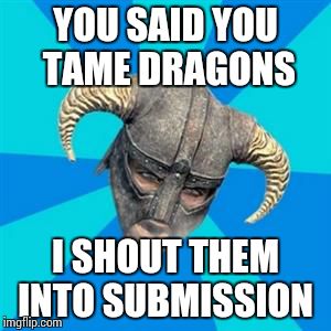 Skyrim meme | YOU SAID YOU TAME DRAGONS I SHOUT THEM INTO SUBMISSION | image tagged in skyrim meme | made w/ Imgflip meme maker