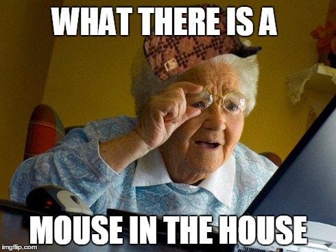 Grandma
 | WHAT THERE IS A MOUSE IN THE HOUSE | image tagged in memes,grandma finds the internet,scumbag | made w/ Imgflip meme maker