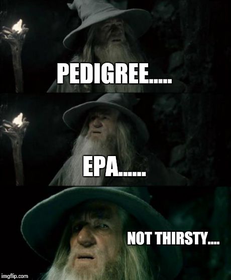 Confused Gandalf | PEDIGREE..... EPA...... NOT THIRSTY.... | image tagged in memes,confused gandalf | made w/ Imgflip meme maker