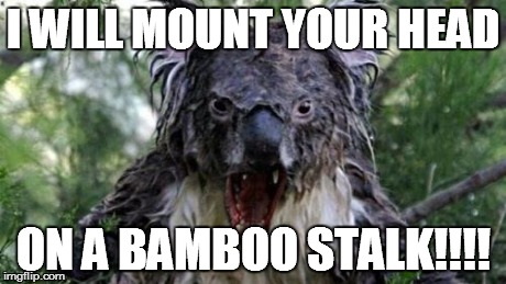 Angry Koala | I WILL MOUNT YOUR HEAD ON A BAMBOO STALK!!!! | image tagged in memes,angry koala | made w/ Imgflip meme maker