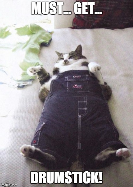 Fat Cat Meme | MUST... GET... DRUMSTICK! | image tagged in memes,fat cat | made w/ Imgflip meme maker