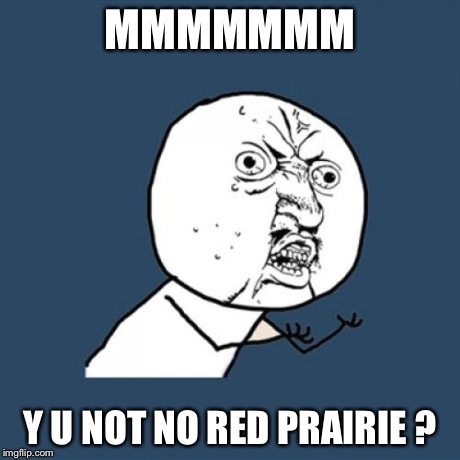 Y U No | MMMMMMM Y U NOT NO RED PRAIRIE ? | image tagged in memes,y u no | made w/ Imgflip meme maker