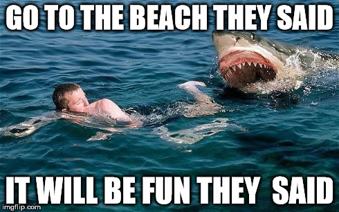GO TO THE BEACH THEY SAID IT WILL BE FUN THEY  SAID | image tagged in beach fun | made w/ Imgflip meme maker