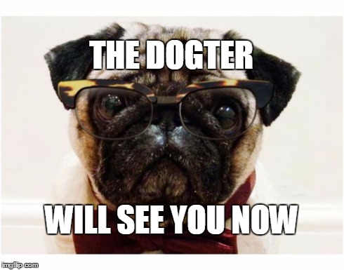 Pug With Glasses and Bowtie | THE DOGTER WILL SEE YOU NOW | image tagged in pug with glasses and bowtie,puns | made w/ Imgflip meme maker