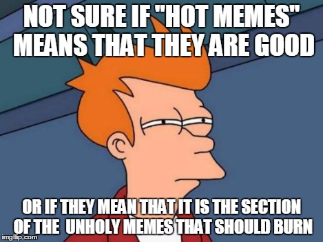 NOT SURE IF "HOT MEMES" MEANS THAT THEY ARE GOOD OR IF THEY MEAN THAT IT IS THE SECTION OF THE  UNHOLY MEMES THAT SHOULD BURN | image tagged in memes,futurama fry | made w/ Imgflip meme maker