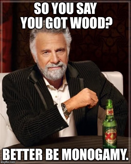 The Most Interesting Man In The World Meme | SO YOU SAY YOU GOT WOOD? BETTER BE MONOGAMY. | image tagged in memes,the most interesting man in the world | made w/ Imgflip meme maker