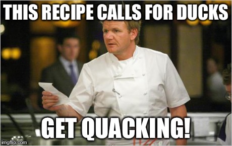 ramsay list | THIS RECIPE CALLS FOR DUCKS GET QUACKING! | image tagged in ramsay list | made w/ Imgflip meme maker