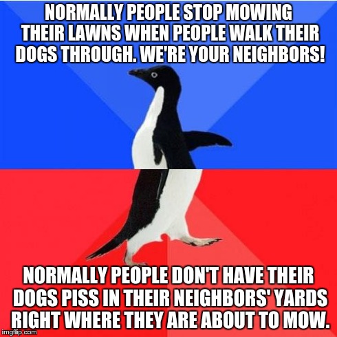 Socially Awkward Awesome Penguin | NORMALLY PEOPLE STOP MOWING THEIR LAWNS WHEN PEOPLE WALK THEIR DOGS THROUGH. WE'RE YOUR NEIGHBORS! NORMALLY PEOPLE DON'T HAVE THEIR DOGS PIS | image tagged in memes,socially awkward awesome penguin | made w/ Imgflip meme maker