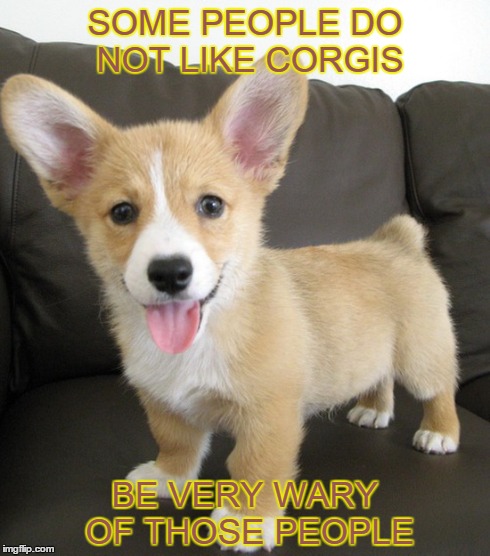 Beware of Sum Folks | SOME PEOPLE DO NOT LIKE CORGIS BE VERY WARY OF THOSE PEOPLE | image tagged in corgi,memes,puppy,dog | made w/ Imgflip meme maker