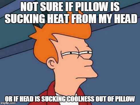 Futurama Fry | NOT SURE IF PILLOW IS SUCKING HEAT FROM MY HEAD OR IF HEAD IS SUCKING COOLNESS OUT OF PILLOW | image tagged in memes,futurama fry | made w/ Imgflip meme maker