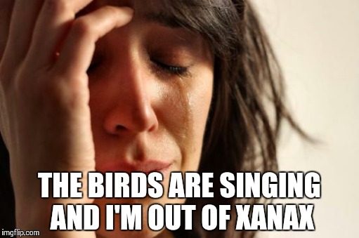 First World Problems | THE BIRDS ARE SINGING AND I'M OUT OF XANAX | image tagged in memes,first world problems | made w/ Imgflip meme maker