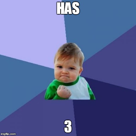 Success Kid Meme | HAS 3 | image tagged in memes,success kid | made w/ Imgflip meme maker