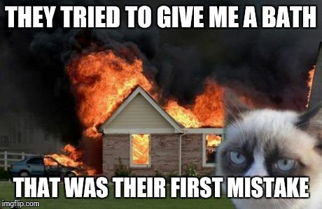 Burn Kitty | THEY TRIED TO GIVE ME A BATH THAT WAS THEIR FIRST MISTAKE | image tagged in memes,burn kitty | made w/ Imgflip meme maker