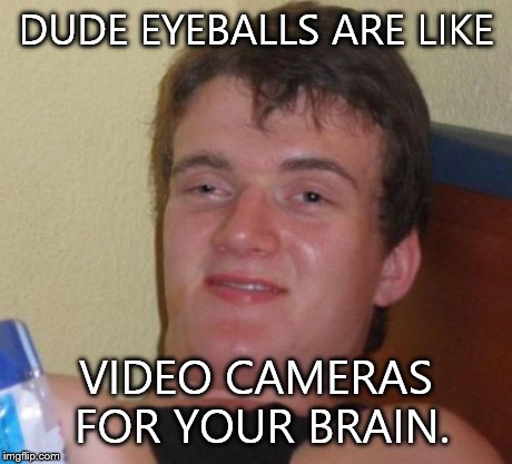 10 Guy Meme | DUDE EYEBALLS ARE LIKE VIDEO CAMERAS FOR YOUR BRAIN. | image tagged in memes,10 guy | made w/ Imgflip meme maker