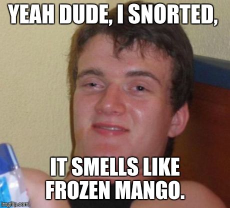 10 Guy Meme | YEAH DUDE, I SNORTED, IT SMELLS LIKE FROZEN MANGO. | image tagged in memes,10 guy | made w/ Imgflip meme maker